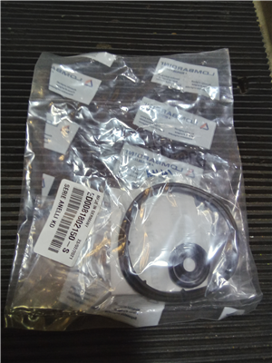 NEW SEAL KIT 076.999.0269, photo 1 of 2