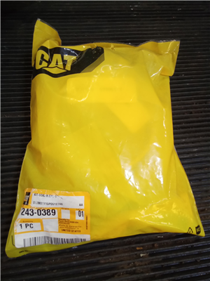 Part Number: 2430389              for Caterpillar D6H  