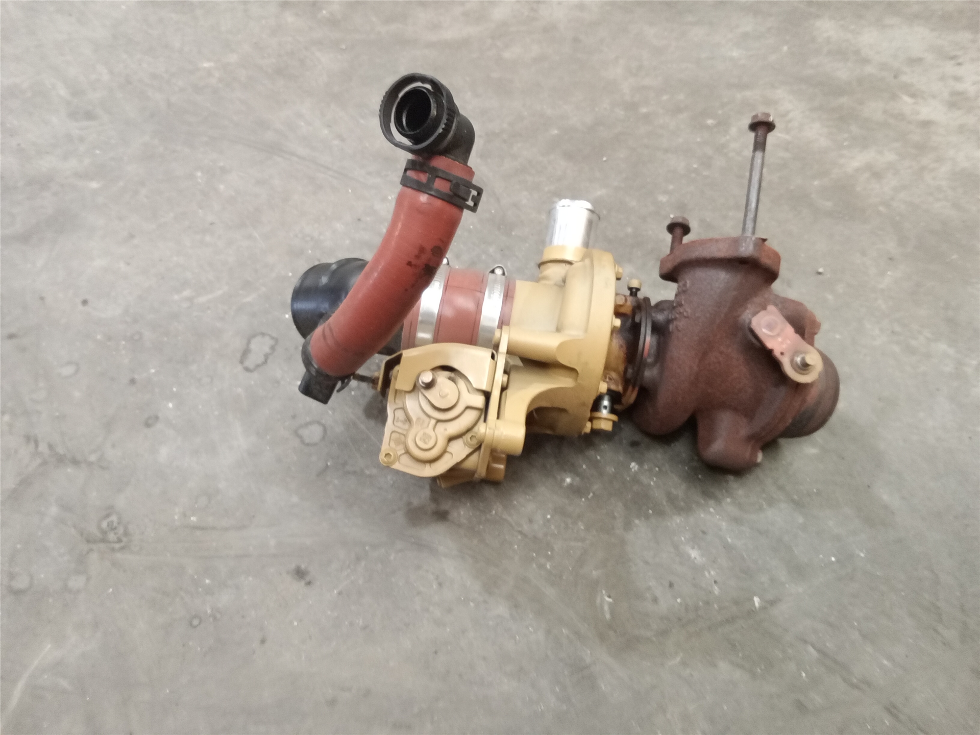 CAT 5698446 part 5